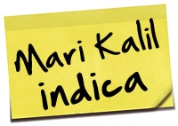 categorias-mari-kalil-indica16