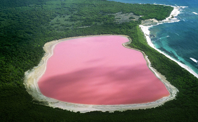 Lago rosa 9