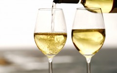 Your-Favorite-White-Wine-Sauvignon-Blanc