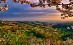 Italy-Lombardy-Collio-at-spring-valley-dusk-flowers-trees_1920x1200