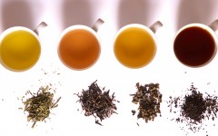 Tea_in_different_grade_of_fermentation