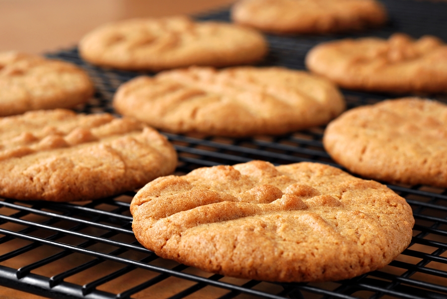 Freshly baked peanut butter cookies on cooling rack. Macro with extremely shallow dof. Selective focus limited to center of closest cookie.